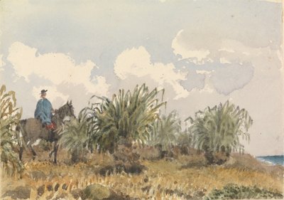 Tussac Grass, Falkland Islands by Admiral Sir Edward Gennys Fanshawe