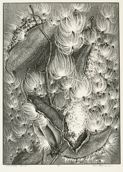 Milkweed Ballet by Adolf Ernst Meissner