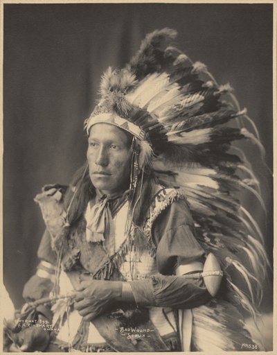 Bad Wound, Sioux by Adolph F. Muhr
