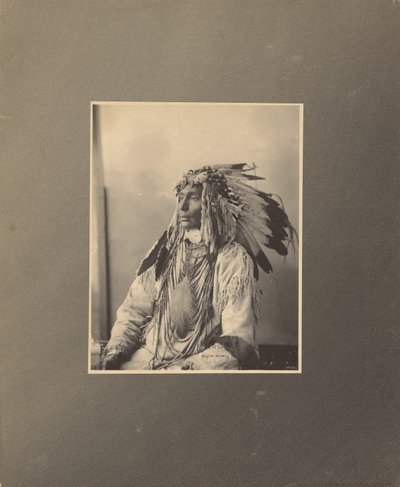 Kill Spotted Horse, Assiniboines by Adolph F. Muhr