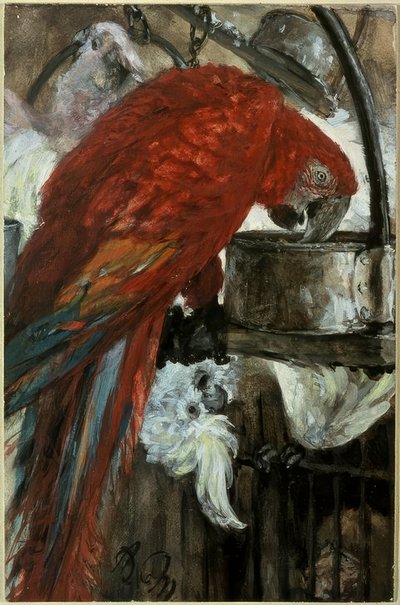 Macaw and Cockatoo by Adolph Menzel