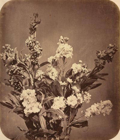 Bouquet, 1855 by Adolphe Braun