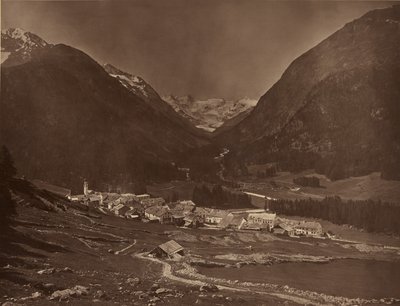 Pontresina by Adolphe Braun