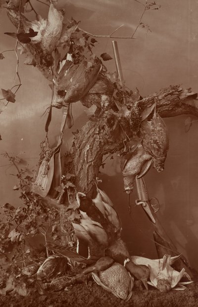 Still Life: Dead Game by Adolphe Braun