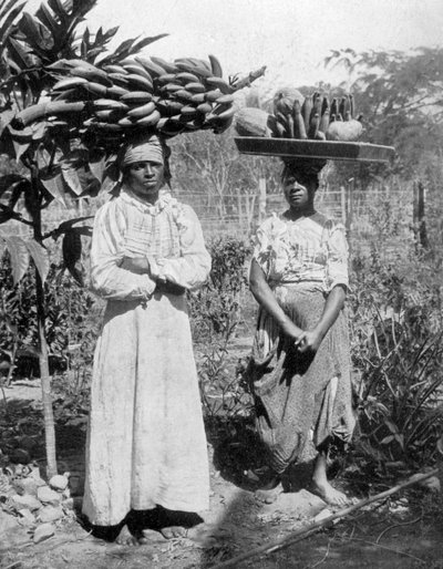 Fruit sellers, Jamaica, c1905 by Adolphe Duperly and Son
