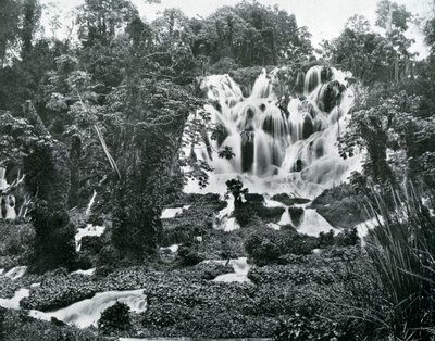 Roaring River Falls, Jamaica by Adolphe Duperly and Son
