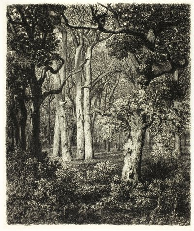 Old Oaks at Bas Bréau by Adolphe Martial Potemont