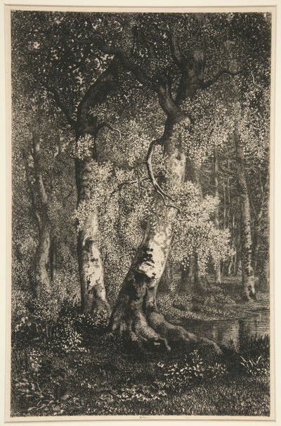 The Beeches by Adolphe Martial Potemont