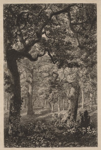 In the Woods by Adolphe Théodore Jules Martial Potémont