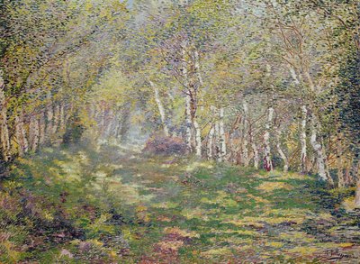 Silver Birches by Adriaan Josef Heymans