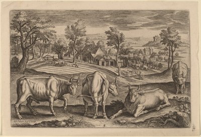 Four Bulls by Adriaen Collaert