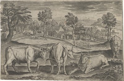 Cattle (Four-Legged Animals) by Adriaen Collaert