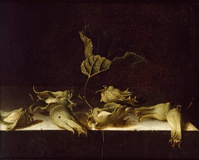 Still Life with Hazel-nuts, 1696 by Adrian Coorte
