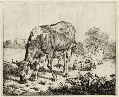 A Cow and Three Sheep by Adriaen van de Velde