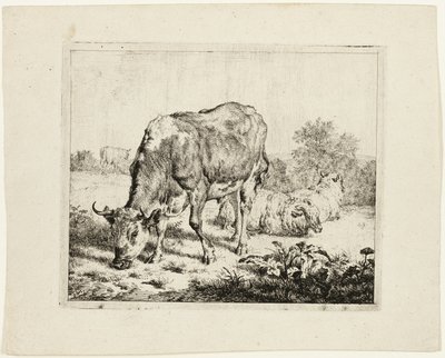 Bull Grazing and Three Sheep by Adriaen van de Velde