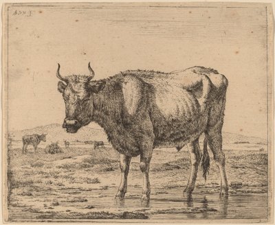 Bull Standing in Water by Adriaen van de Velde