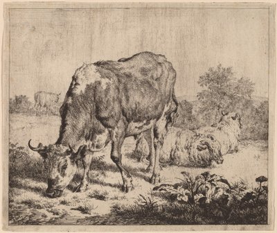 Spotted Bull and Three Sheep by Adriaen van de Velde