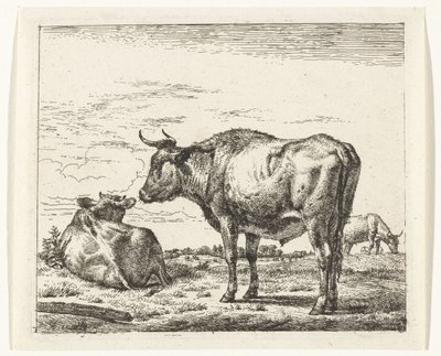 Standing Bull by Adriaen van de Velde