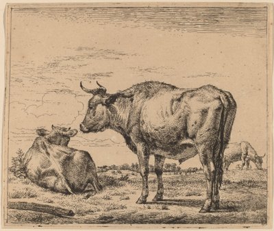 Standing Bull by Adriaen van de Velde