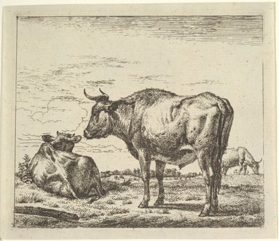 Standing Bull from Different Animals by Adriaen van de Velde