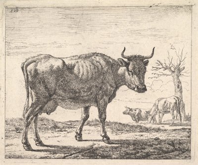 Three Cows by Adriaen van de Velde