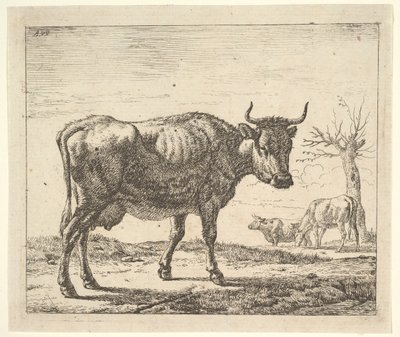 Three Cows, from Different Animals by Adriaen van de Velde