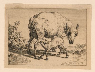 The Ewe by Adrian van de Velde