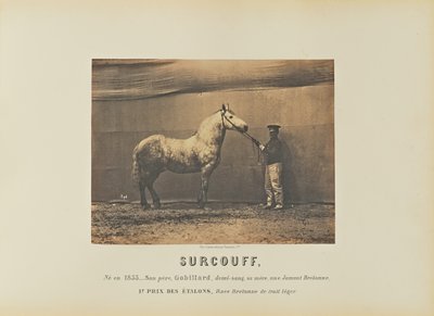Surcouf by Adrien Alban Tournachon