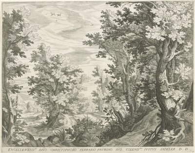Forest Landscape by Egidius  Sadeler (II)