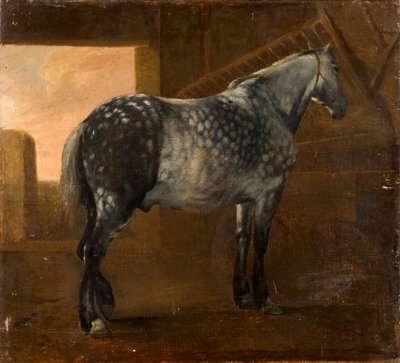 A Dapple Grey Horse by Aelbert Cuyp