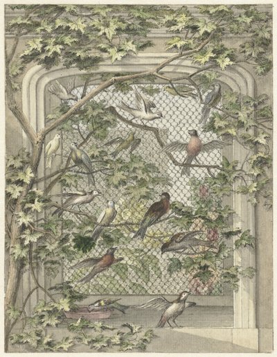 Aviary with Fourteen Birds by Aert Schouman (possibly)