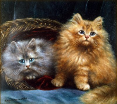 Unknown Image by Agnes Augusta Talboys