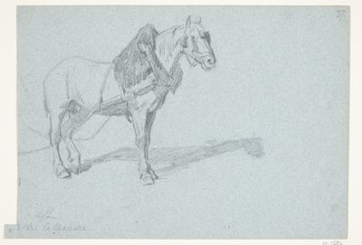 A Horse by Agnes Lunn