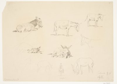 Study Sheet with Animals by Agnes Lunn