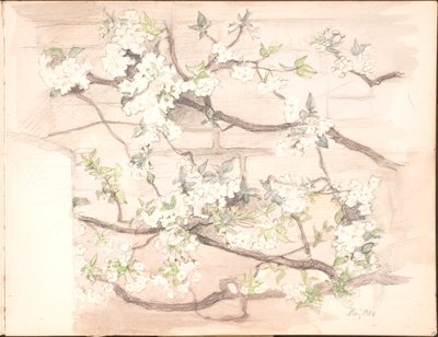 Sketchbook. July 1899 - June 1901 by Agnes Slott Møller