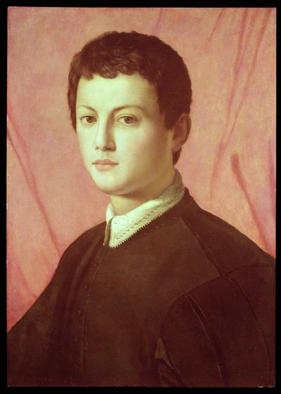 Portrait of a young man by Agnolo Bronzino