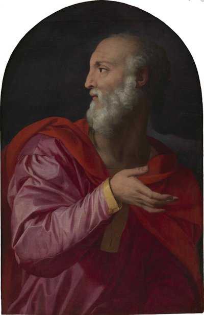 Saint Cosmas by Agnolo Bronzino