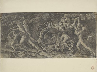 The Carcass by Agostino Veneziano