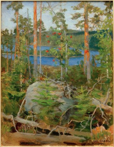 View of Lake Jamajärvi by Akseli Valdemar Gallen Kallela