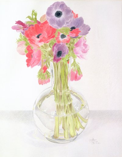 Anemonies, 1982 by Alan Byrne