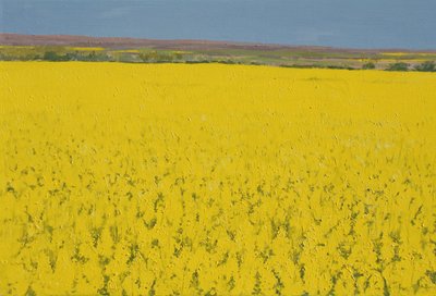 Rape Field, 2003 by Alan Byrne