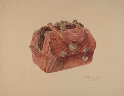 Hand Bag by Albert Allen