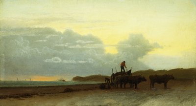 Coastal View, Newport, 1861 by Albert Bierstadt