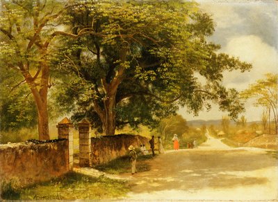 Street in Nassau by Albert Bierstadt
