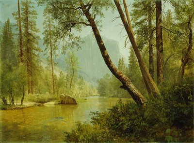 Sunlit Forest by Albert Bierstadt