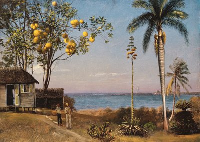 Tropical Scene by Albert Bierstadt