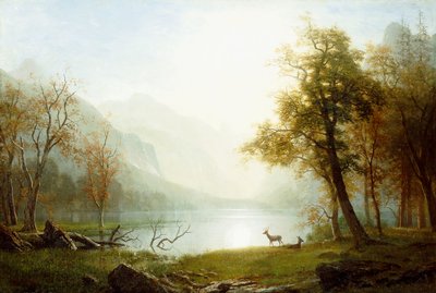 Valley in King