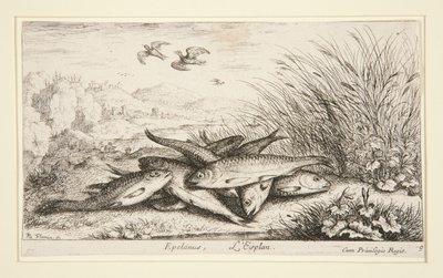 Epelanus, L by Albert Flamen