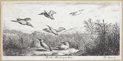 The Kingfisher by Albert Flamen