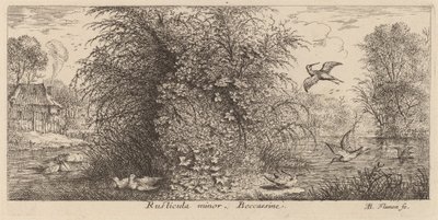 Rusticula minor, The Snipe by Albert Flamen